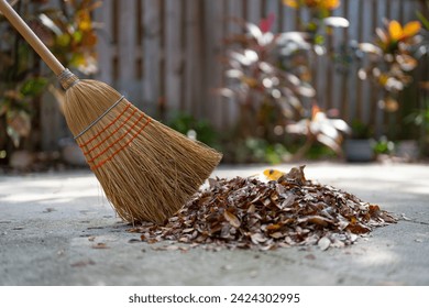 Broom and foliage. Corn straw broom. Professional natural organic wooden extra large heavy duty broom. Cleaning tool for home, garden, office room. Commercial business, cleaning service - Powered by Shutterstock