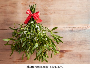 Broom from green mistletoe on wood desk. Nature background. Christmas plant
