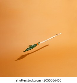 Broom made of wood and palm tree leaves levitating in the air. Minimal haloween concept design.