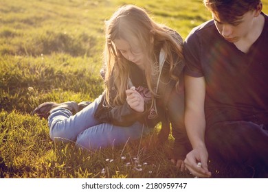 Brother and sister, siblings, boy and girl, children during sunset, on a lawn, grass, observing flowers and nature. Sharing, lovely family moment on a field. Blonde hair, close to each other.  - Shutterstock ID 2180959747