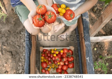 Similar – Image, Stock Photo Children and senior woman putting apples inside of wicker baskets