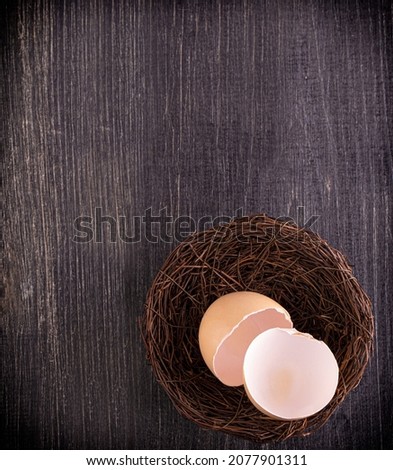 The broun broken egg shells in the nest on wooden surface