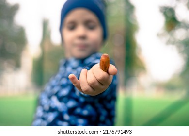 Brown acorn in the hand of a little boy. The little boy holds out his hand with an acorn