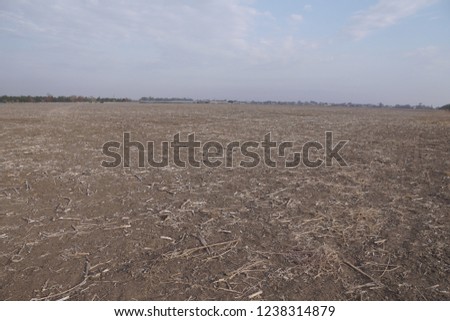Brown agricultural soil of a field