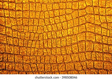 50,099 imágenes de Textura piel cocodrilo - Imágenes, fotos y vectores