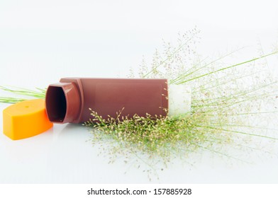 Brown Asthma Inhaler And Flower Of Grass