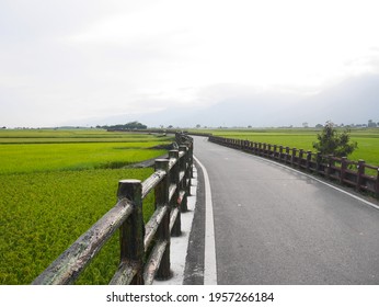 Brown Avenue, Chishang, Taitung City, Taiwan