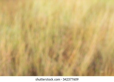 Brown background