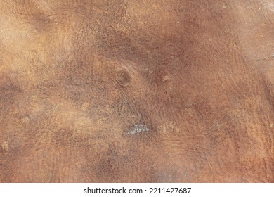 brown background with leather texture with brown veins of brown leather background as sample of brown background from natural leather or sample of texture of leather for beautiful natural background - Shutterstock ID 2211427687