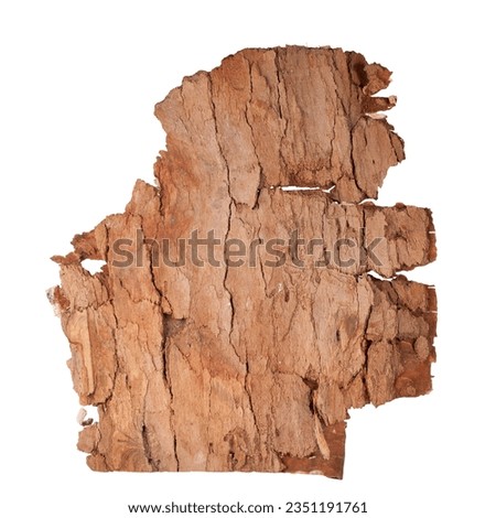 Brown bark. Nature, texture, irregular shape. On a white background.