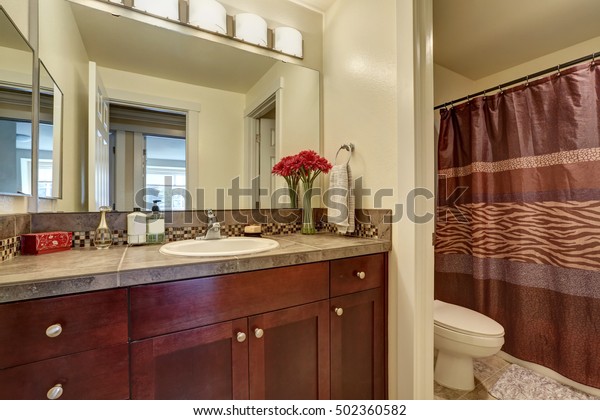 Brown Bathroom Interior Toilet Shower Burgundy Stock Photo Edit