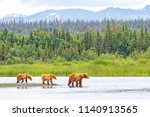 Brown Bear and Two Cubs against a Forest and Mountain Backdrop at Katmai National Park, Alaska