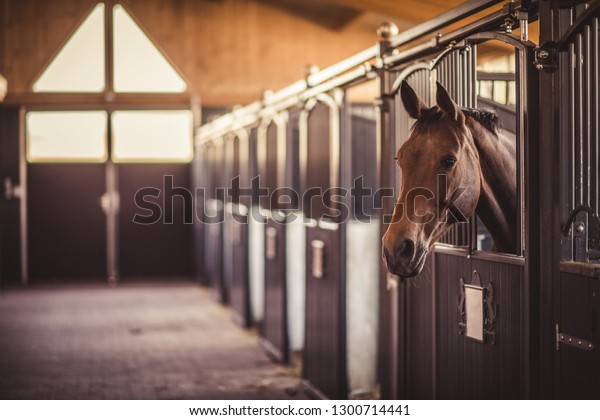 Horse Barn Images Stock Photos Vectors Shutterstock