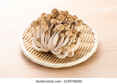 Brown Beech Mushroom