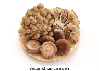 Brown Beech Mushroom, Shiitake Mushroom, And Maitake Mushroom