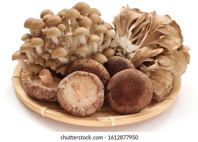 Brown Beech Mushroom, Shiitake Mushroom, and Maitake Mushroom - Powered by Shutterstock