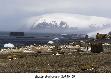 Brown Bluff, Antarctica