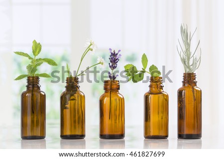 Brown Bottles of essential oil with fresh herbs