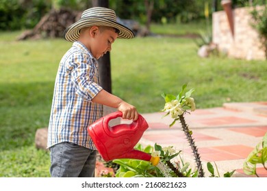 Brown boy watering plants at dawn. Boy dressed as a gardener watering flowers. Colombian boy. Concept of caring for the planet.