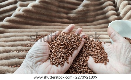 Brown buckwheat groats and hand of woman in it. Food for background and texture. Product and food that can be stored for long time. Partial focus