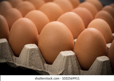 Brown cage-free chicken eggs in carton, close up