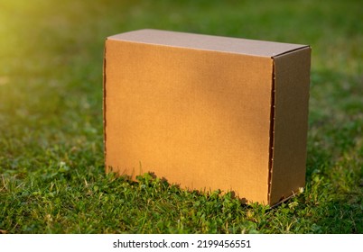 A Brown Cardboard Box On The Green Grass In Summer.The Parcel Is In The Garden On The Ground. Delivery Of Postal Items.A Box With A Blank Form For The Text.