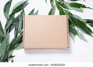 Brown Cardboard Box With Tree Brush 