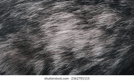 Brown Cat fur color close-up as a background.  - Powered by Shutterstock