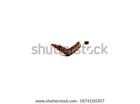 Brown caterpillar are excreting waste products from the body isolated on white background with clipping path. Stock photo © 