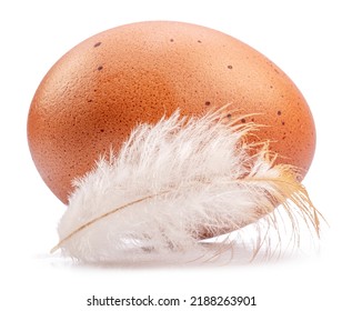 Brown Chicken Egg And Chicken Feather Isolated On White Background.