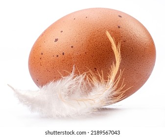 Brown Chicken Egg And Chicken Feather Isolated On White Background.