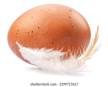 Brown Chicken Egg And Chicken Feather Isolated On White Background.