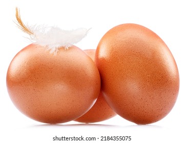 Brown Chicken Eggs With Chicken Feather Isolated On White Background.