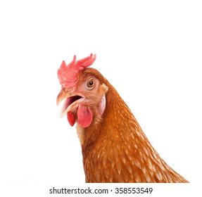 19,020 Funny Face Chicken Images, Stock Photos & Vectors | Shutterstock