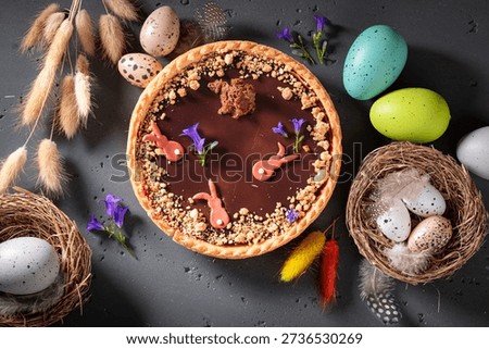 Brown chocolate cake for Easter surrounded by eggs and catkins. Cake, catkins and Easter eggs for Easter.