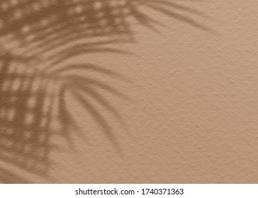 Brown clay mud grunge cement texture wall leaf plant shadow background.Summer tropical travel beach with minimal concept. Flat lay palm nature. - Shutterstock ID 1740371363