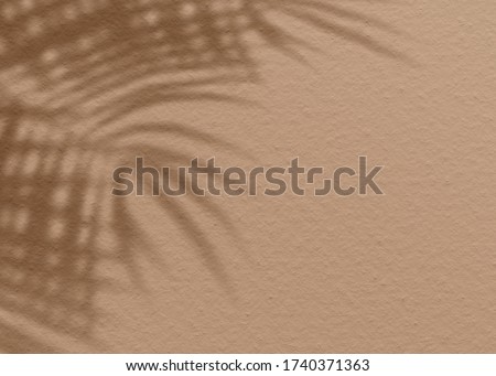 Brown clay mud grunge cement texture wall leaf plant shadow background.Summer tropical travel beach with minimal concept. Flat lay palm nature.