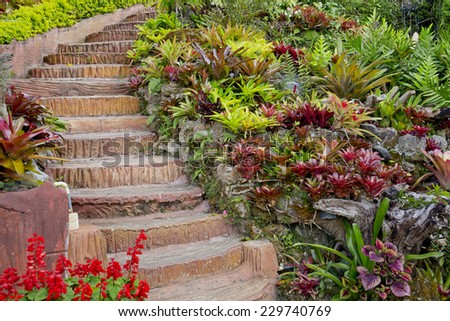 Brown Color Stone walkway in garden with beautiful flowers and tree at side of walkway.