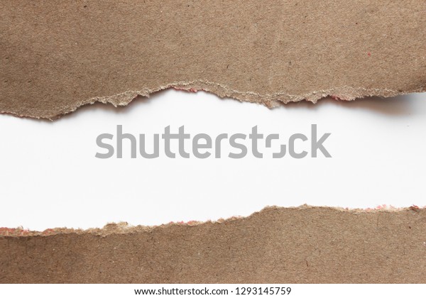 Brown Corrugated Texture Paper Torn On Stock Photo 1293145759 ...