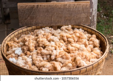 Brown Cotton In A Basket