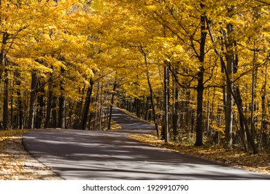 Brown County State Park In Fall