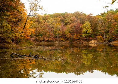 Brown County State Park, Indiana In The Fall