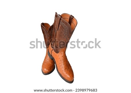 Brown cowboy boots on a white background.