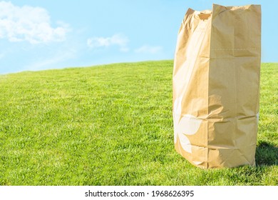 Brown Craft Paper Bag For Yard Waste Place On Green Grass Field Against Bright Cloudy Blue Sky Background, Depth Of Field. Trash Management With Eco Friendly Environment Concept With Copy Space.