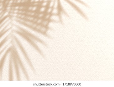 Brown cream clay mud grunge cement texture wall leaf plant shadow background.Summer tropical travel beach with minimal concept. Flat lay palm nature.