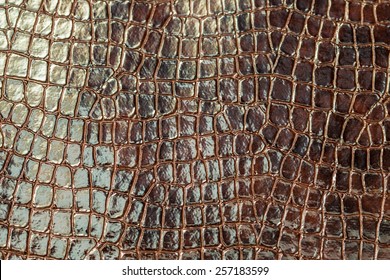 brown crocodile texture  
