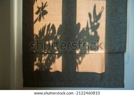 Brown curtain with tree leaf light shade at sunrise in early morning. House iInterior design.