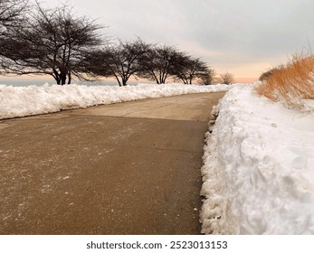 Brown curved path boarded by crisp white banks of fresh snow. Path lined by dark brown bare trees on one side ,and tall golden grasses on other. High cloud cover and start of golden sunset in distance - Powered by Shutterstock