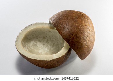 Brown Dry Coconut On White Background Shot In Studio