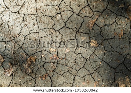 Brown dry cracked ground with dried old leaves. Dried clay texture and patterns cracked surface of clay and land.